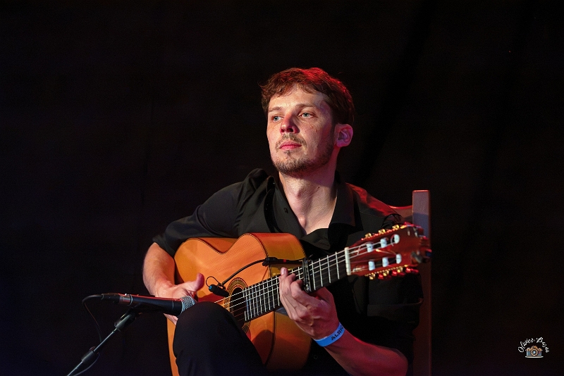 flamenco (93)